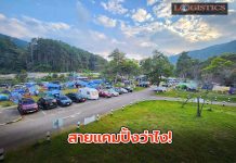 ทล.ชวนกางเต็นท์ชมดอกนางพญาเสือโคร่ง ณ หมวดทางหลวงจอมทอง จ.เชียงใหม่