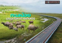 ทช.ชวนท่องเที่ยวมรดกโลกการเกษตรแห่งแรก”ทะเลน้อย”บนถนนสาย พท.5050