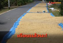 ทช.เตือน!ตากข้าวบนถนนมีโทษจำคุกไม่เกิน3ปี ปรับสูงสุด6หมื่นบาท