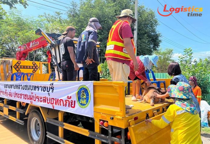 กรมทางหลวงชนบท